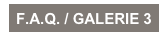 F.A.Q. / GALERIE 3